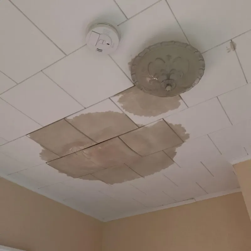 Ceiling Water Damage Repair in Unionville, TN