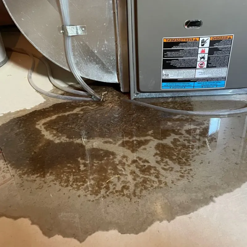 Pipe Burst and Leak Restoration in Unionville, TN