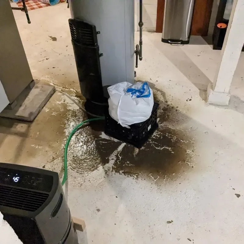 Sewage Backup Cleanup Service in Unionville, TN